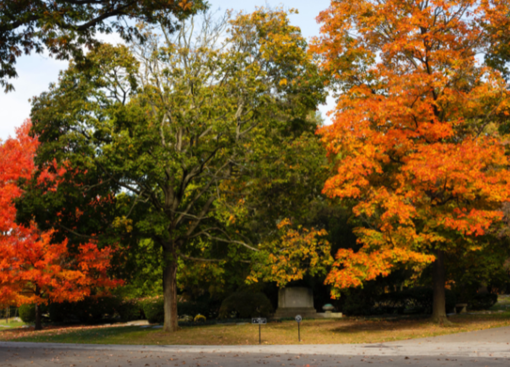 fall-colors-walk-at-lake-view-cemetery